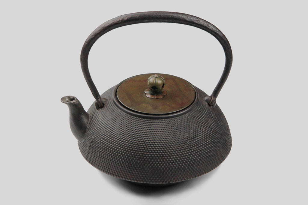 Antique Japanese cast iron kettle (Tetsubin) with textured hobnail surface, bronze lid, and arched handle against a light gray background