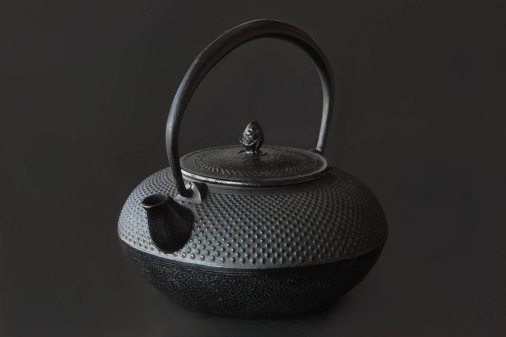 Japanese Iron tea pot. Nambu Tetsubun