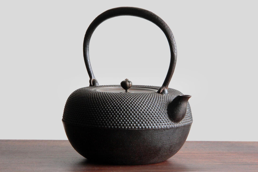 Side view of a Japanese cast iron kettle with textured surface
