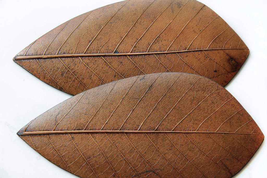 Two natural leaf plates with preserved brown veins and textures, arranged overlapping on a white surface