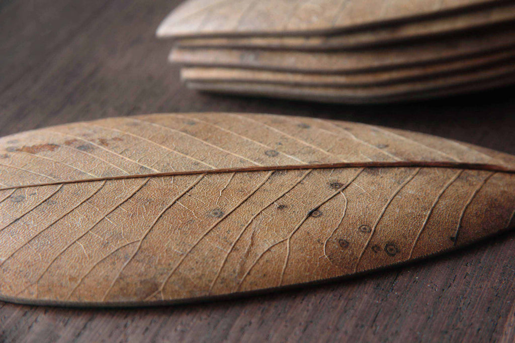 Unique natural leaf dish. Japanese craft