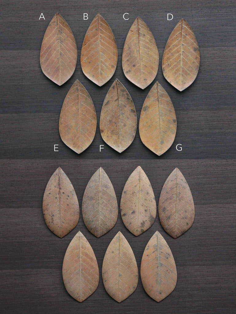 Unique natural leaf dish. Japanese craft