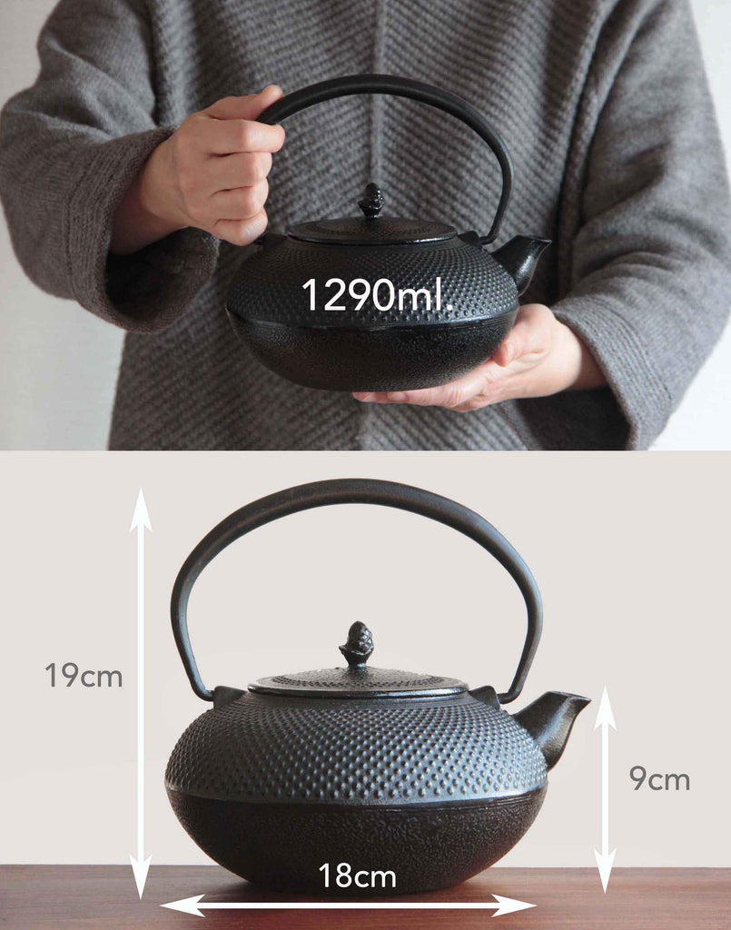 Japanese Iron tea pot. Nambu Tetsubun
